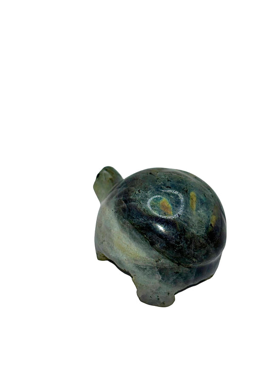 TORTUE LABRADORITE (au kilo)