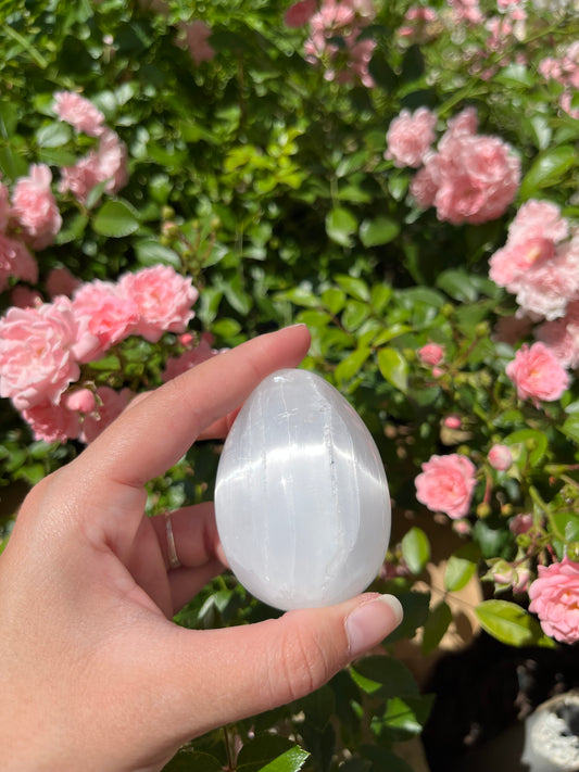 OEUF SÉLÉNITE BLANCHE