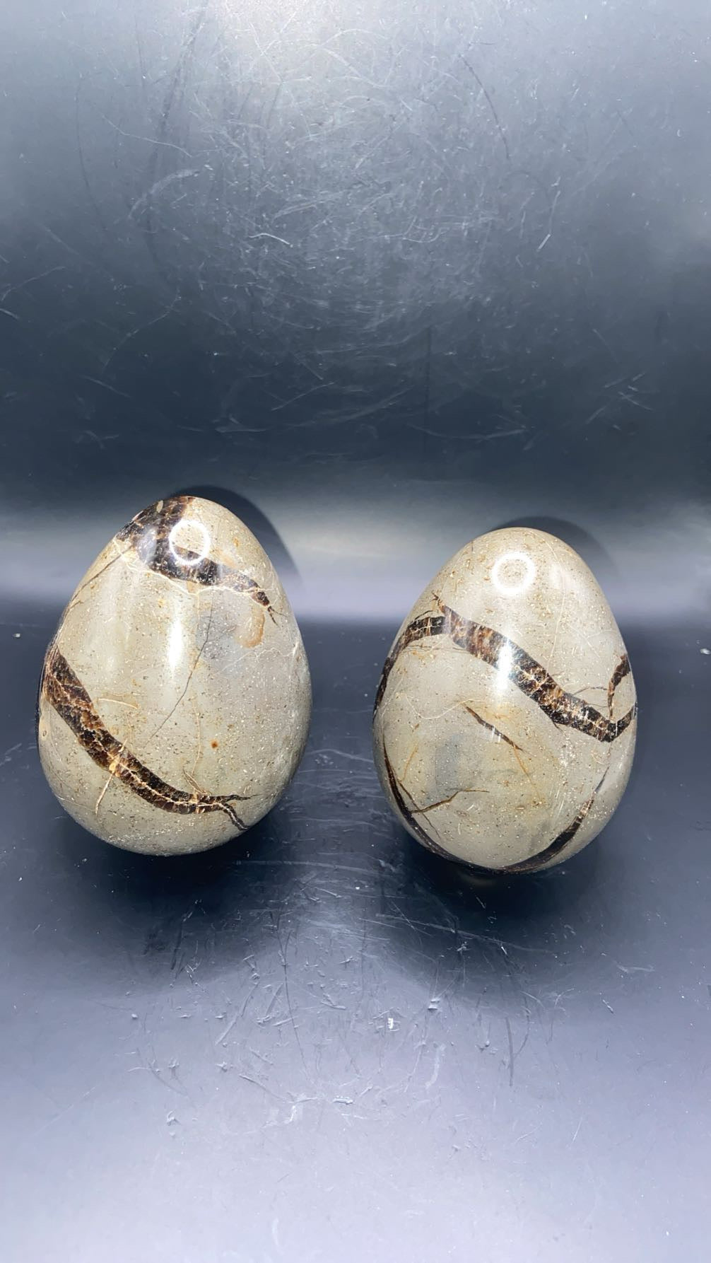 OEUF SEPTARIA - au kilo