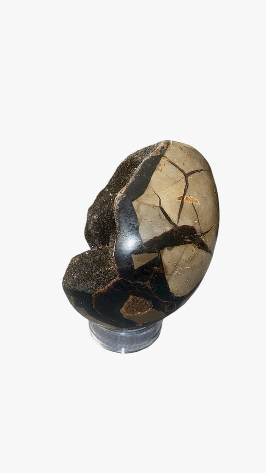 OEUF SEPTARIA 0,80KG