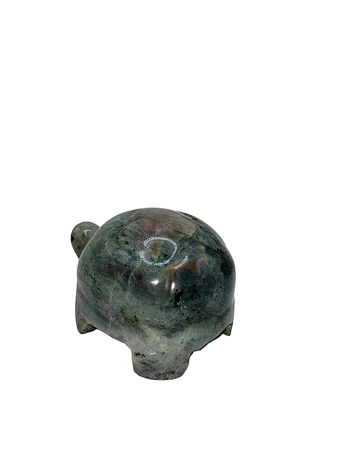 TORTUE LABRADORITE (au kilo)