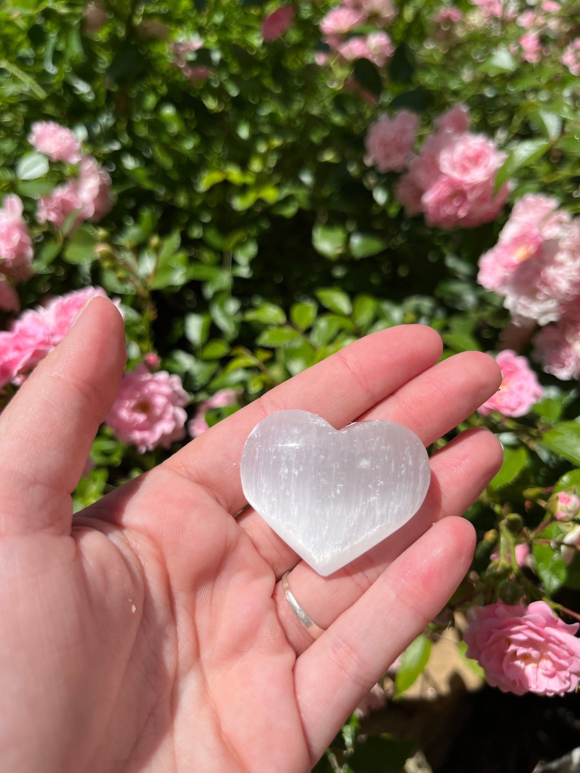 PETIT COEUR SÉLÉNITE