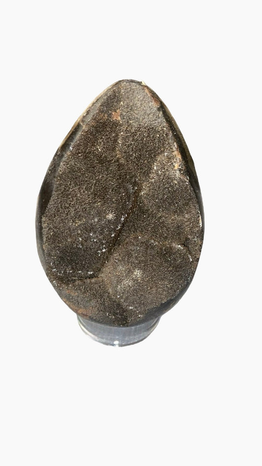 OEUF SEPTARIA 0,80KG