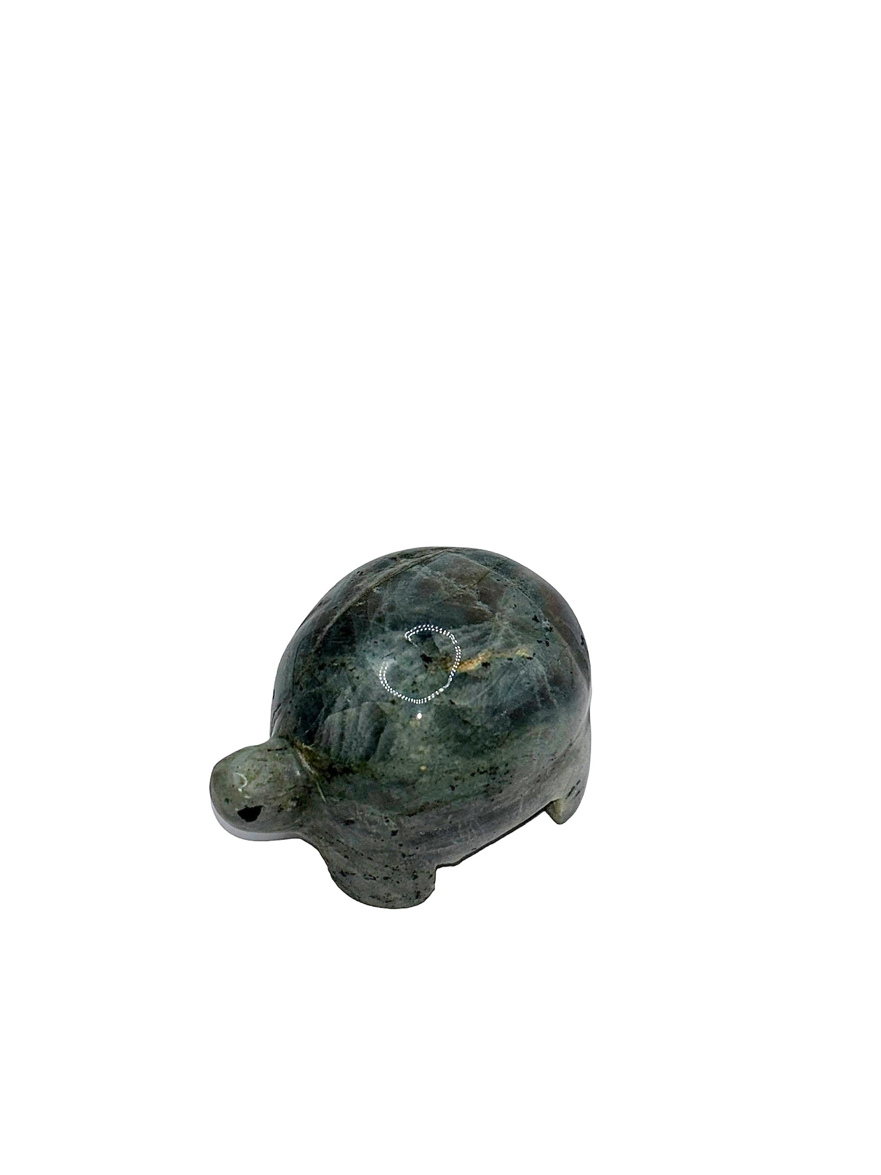 TORTUE LABRADORITE (au kilo)
