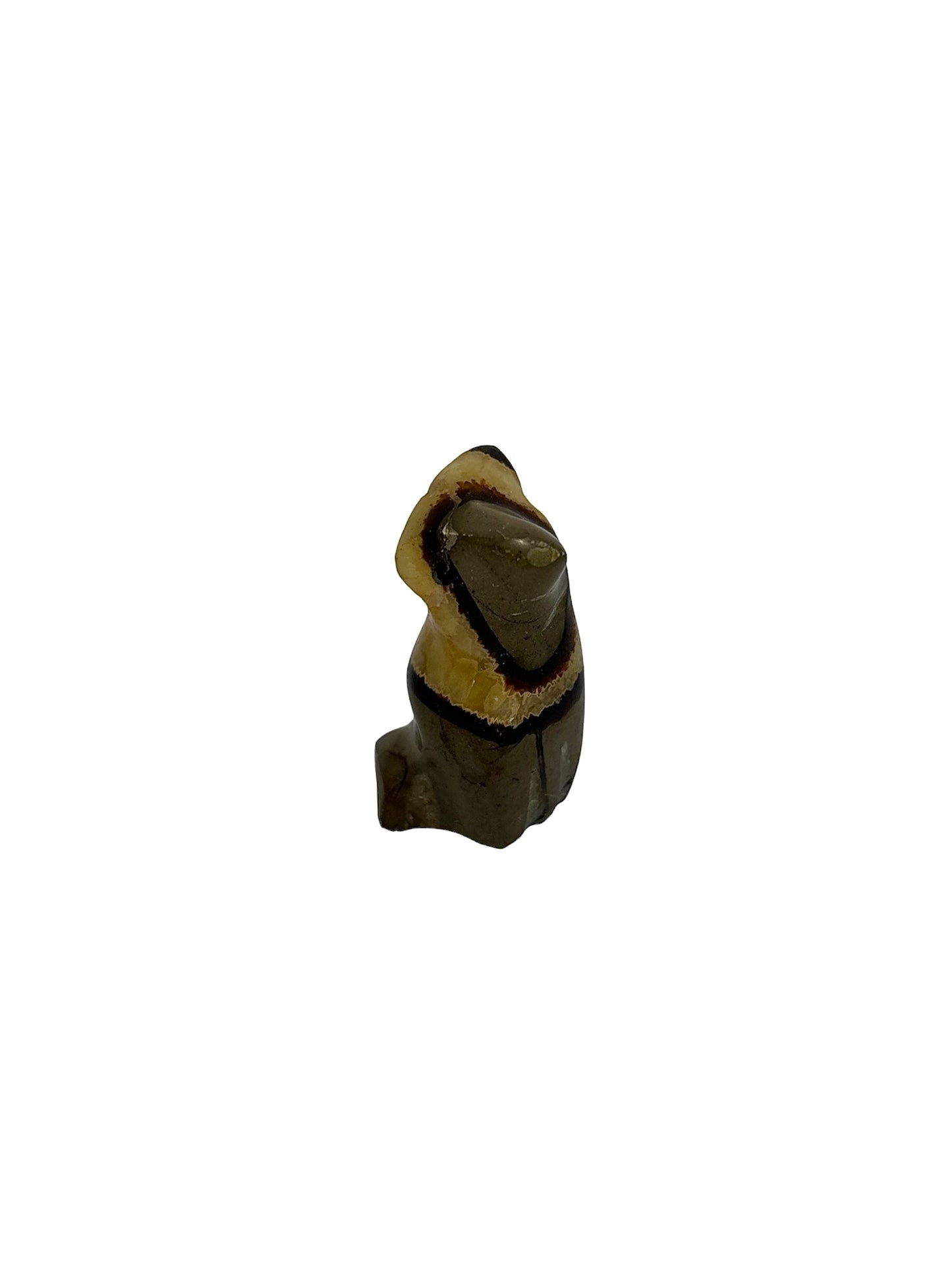 CHOUETTE SEPTARIA (au kilo)