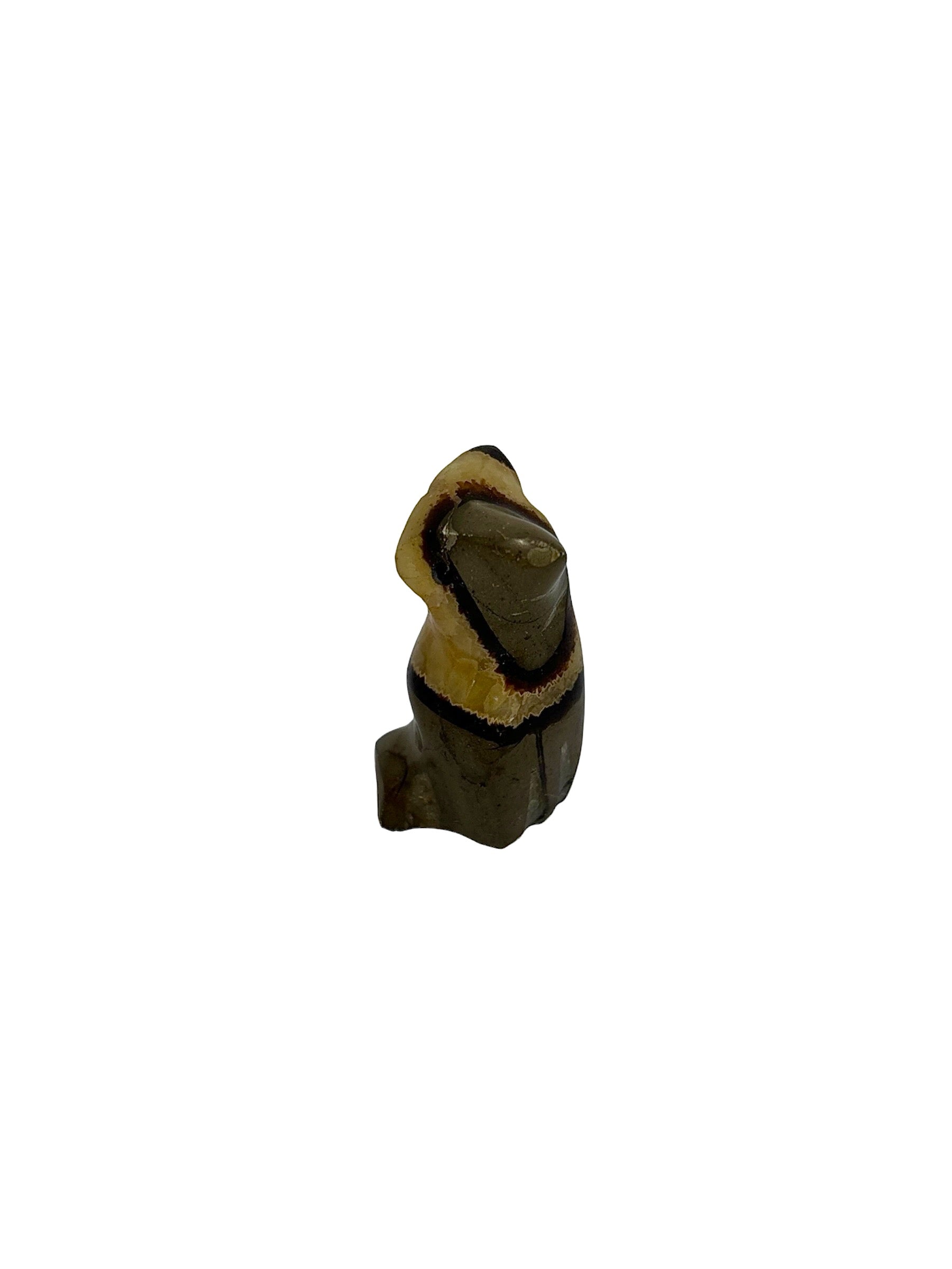 CHOUETTE SEPTARIA (au kilo)