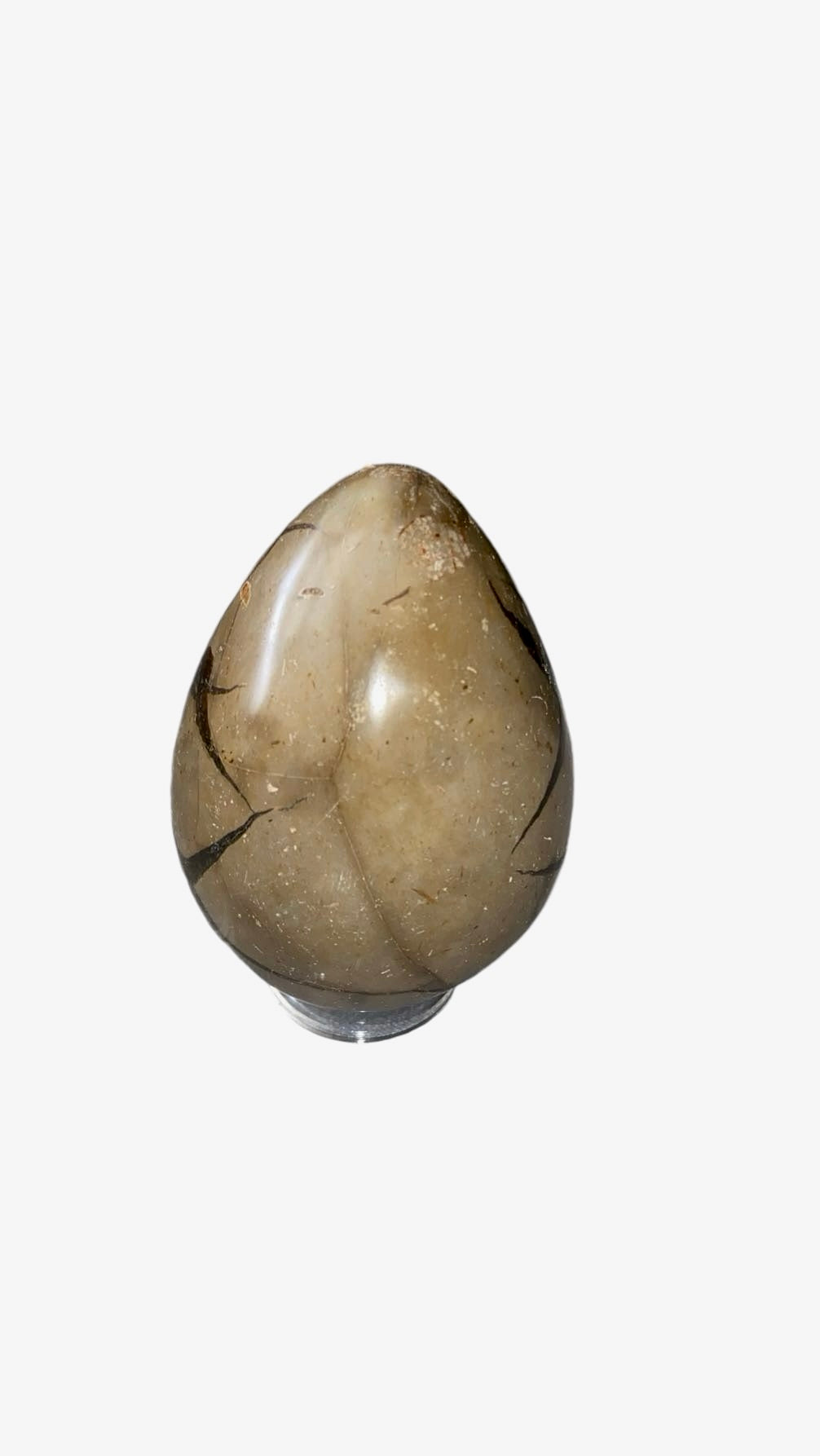OEUF SEPTARIA 0,80KG