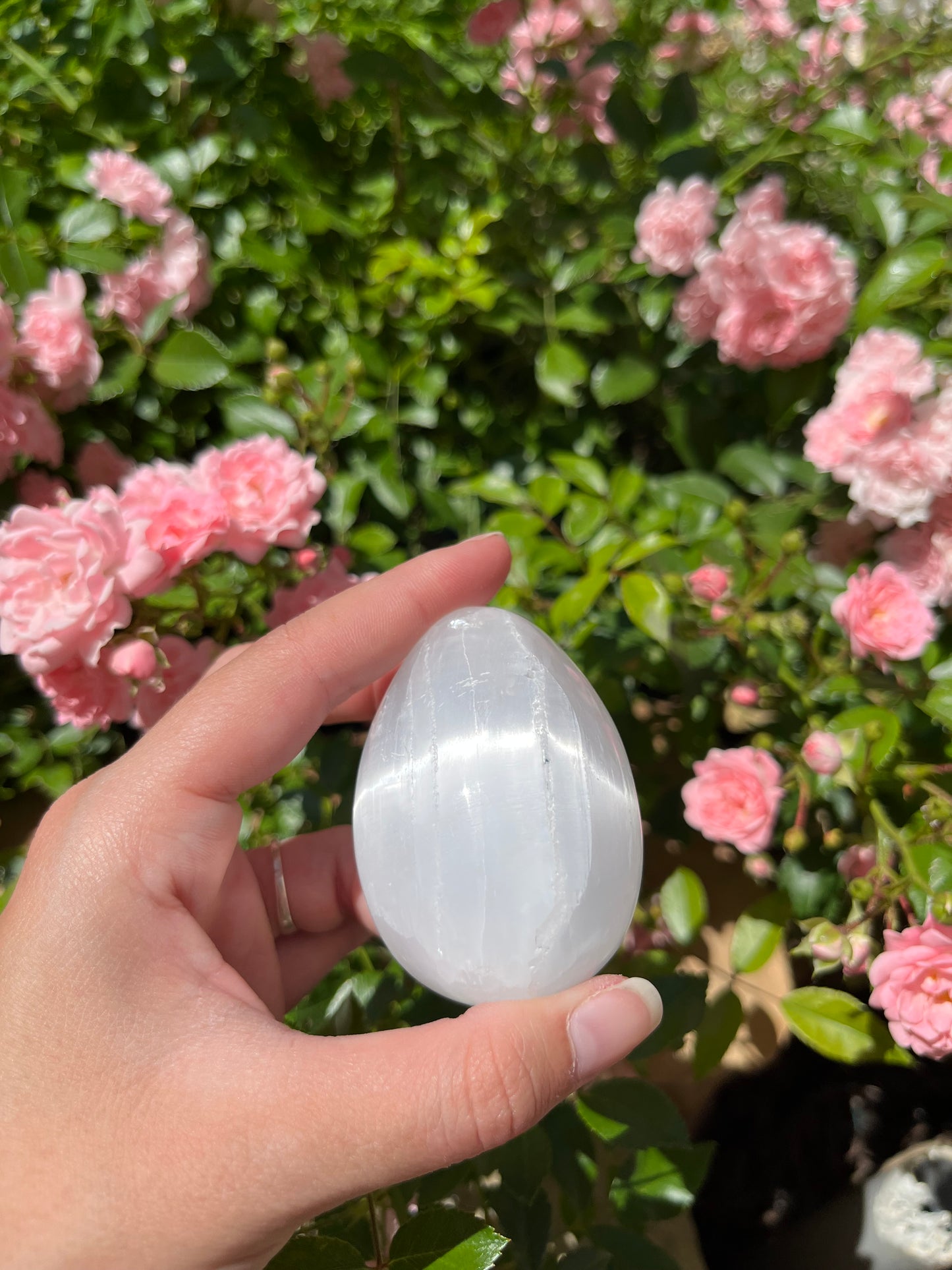OEUF SÉLÉNITE BLANCHE