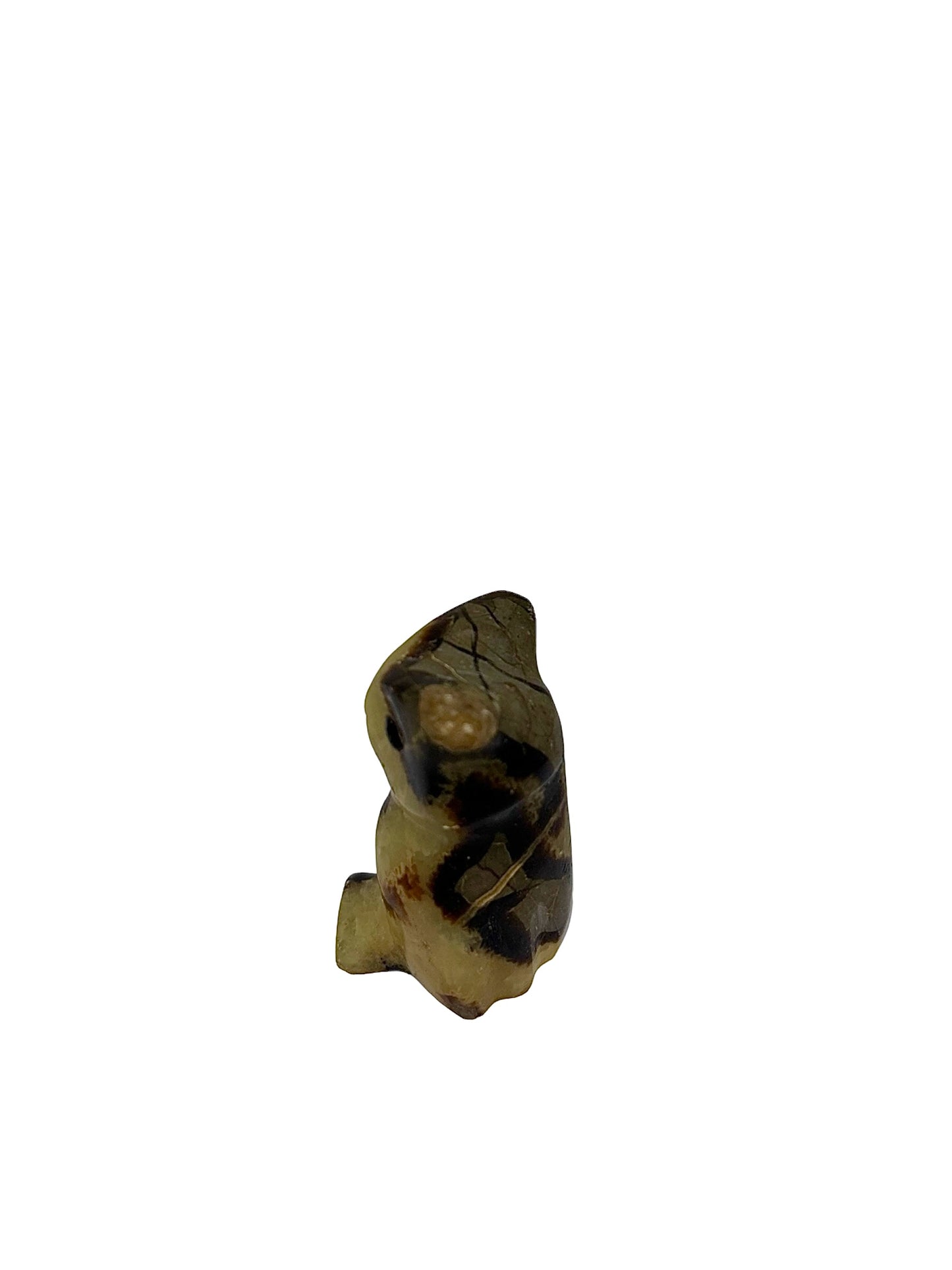 CHOUETTE SEPTARIA (au kilo)