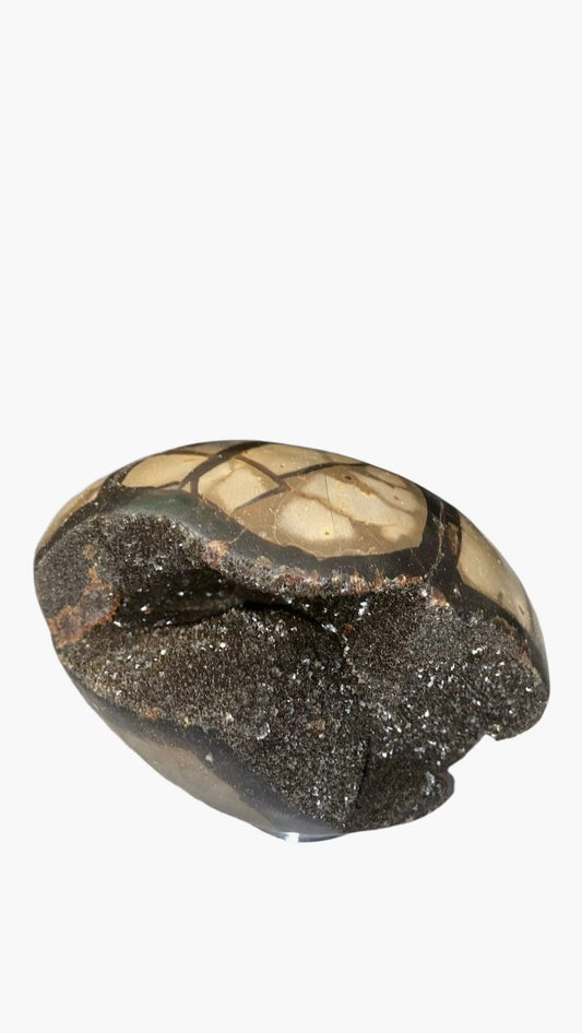 OEUF SEPTARIA 0,80 KG