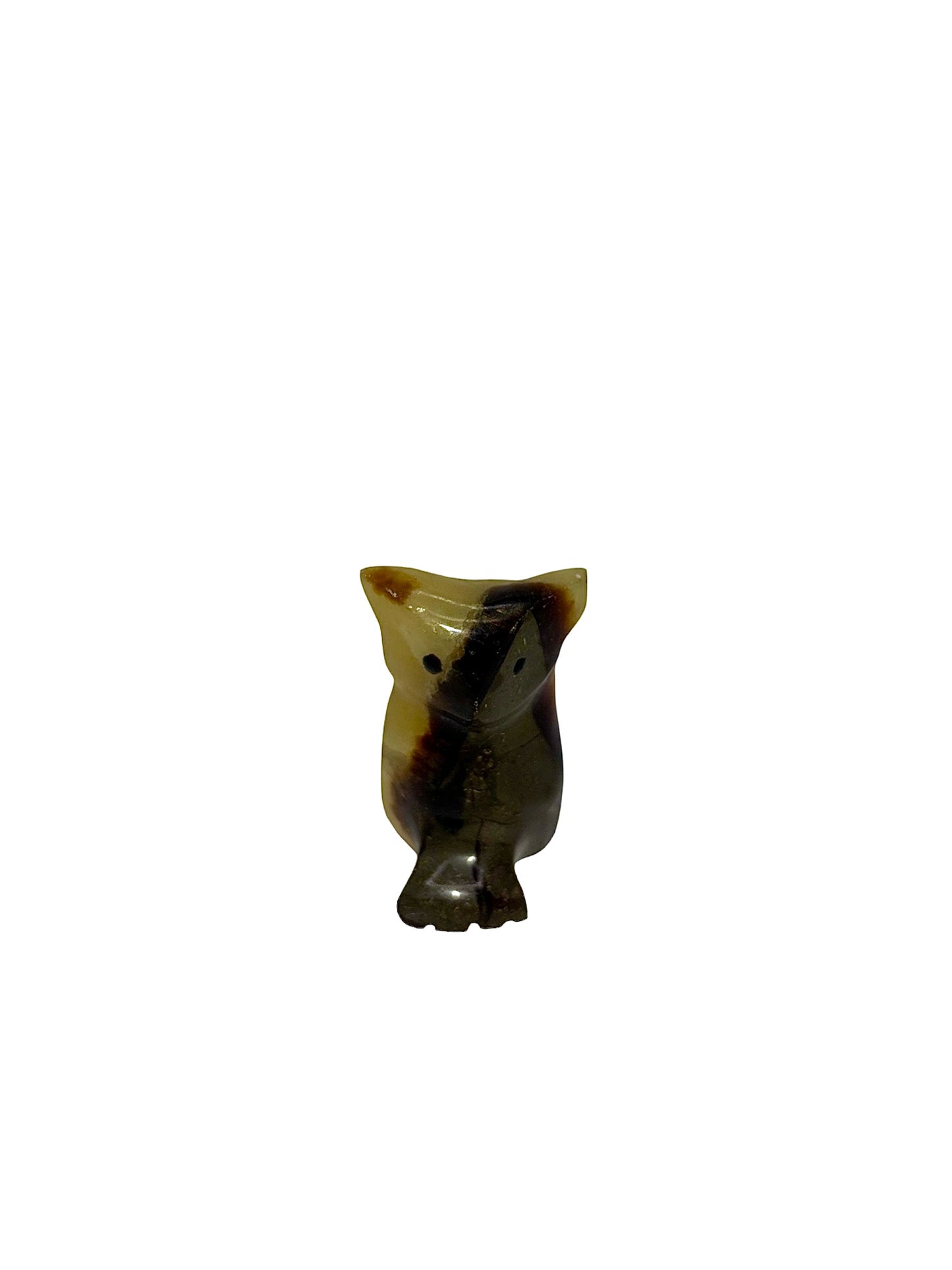 CHOUETTE SEPTARIA (au kilo)