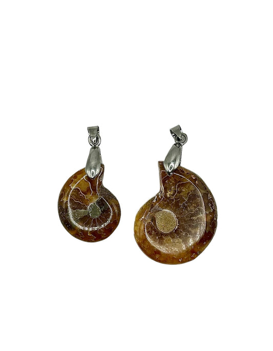 PENDENTIF MADAGASCAR AMMONITE (la pièce)