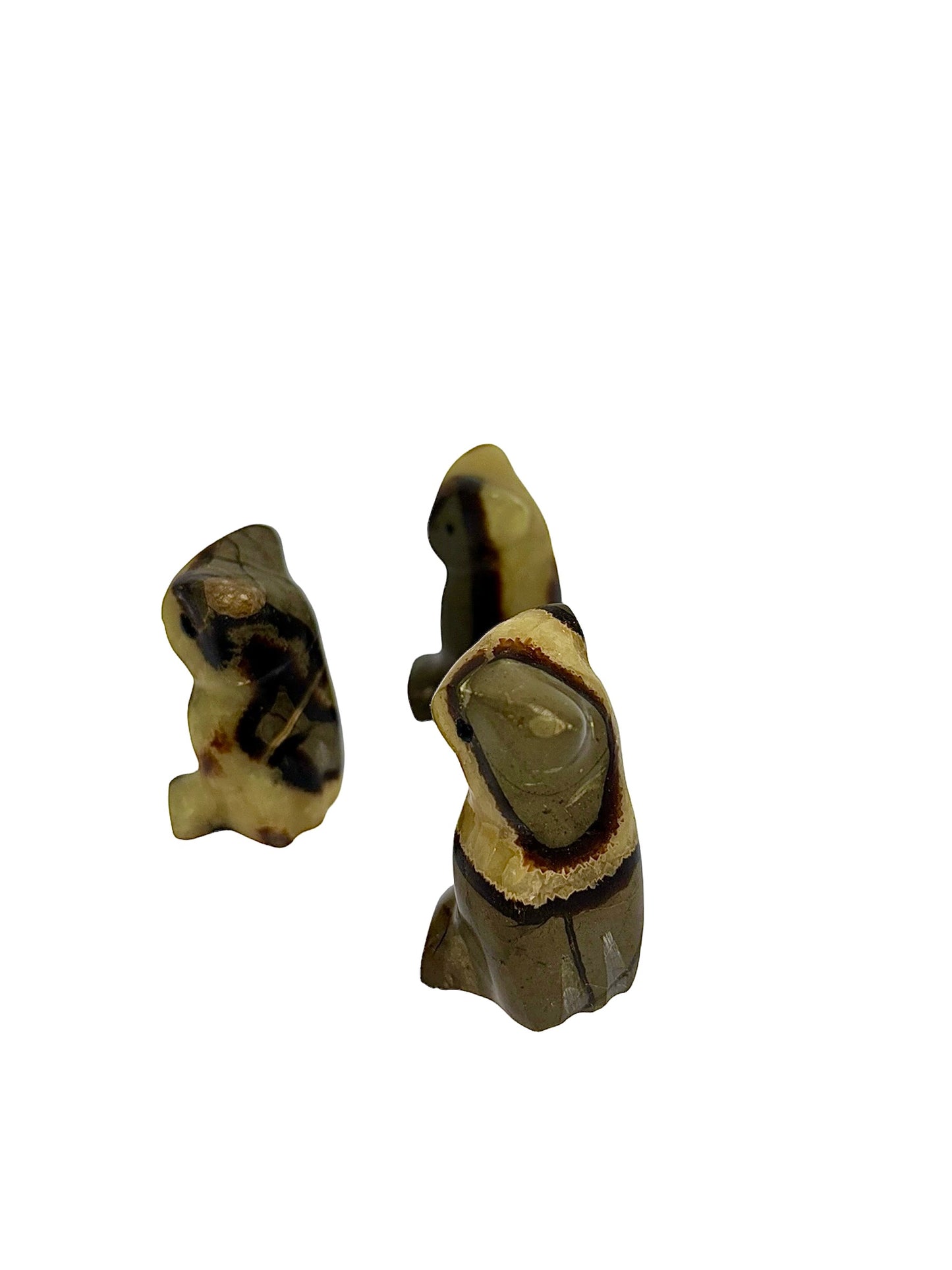 CHOUETTE SEPTARIA (au kilo)