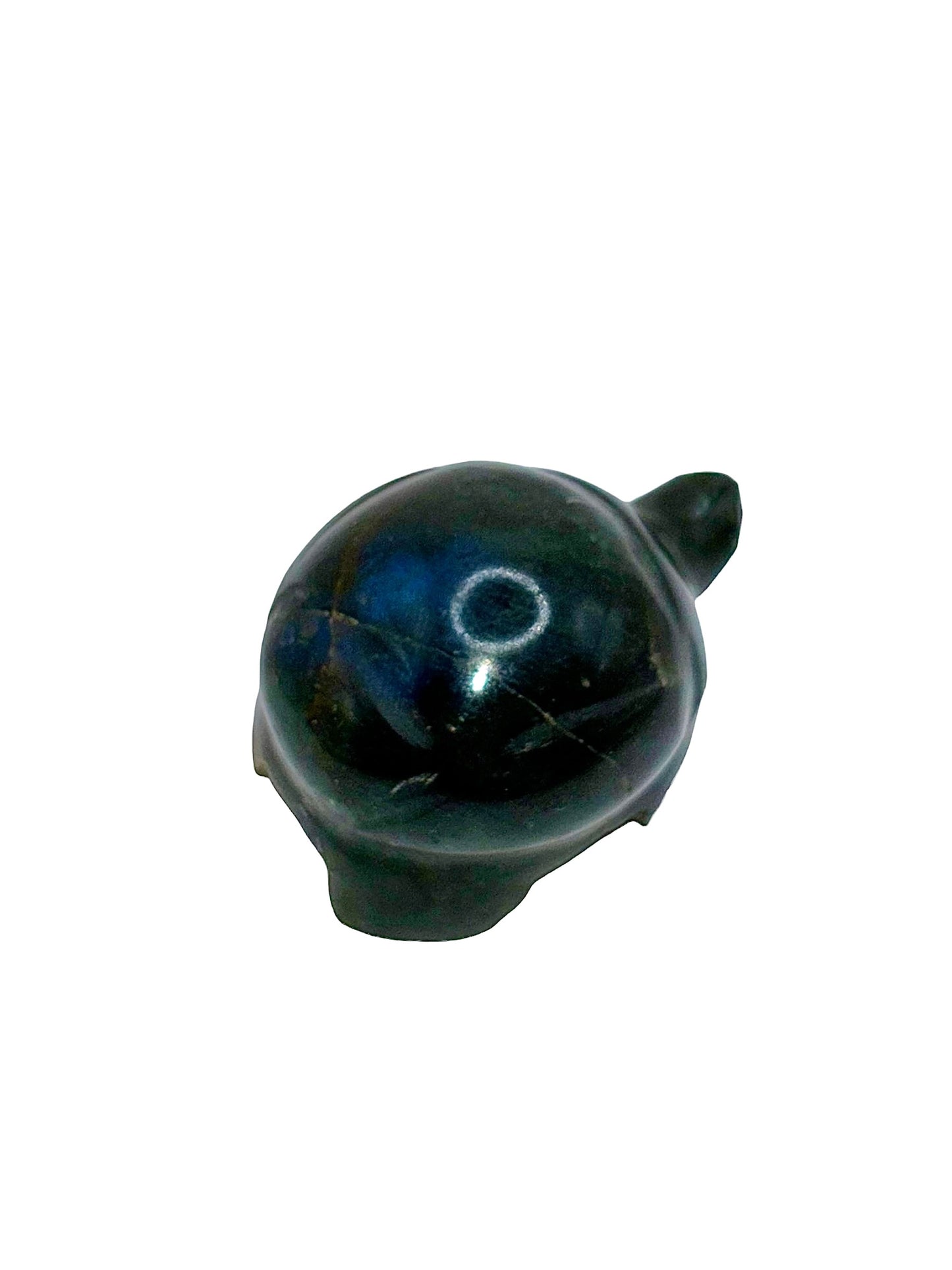 TORTUE LABRADORITE (au kilo)