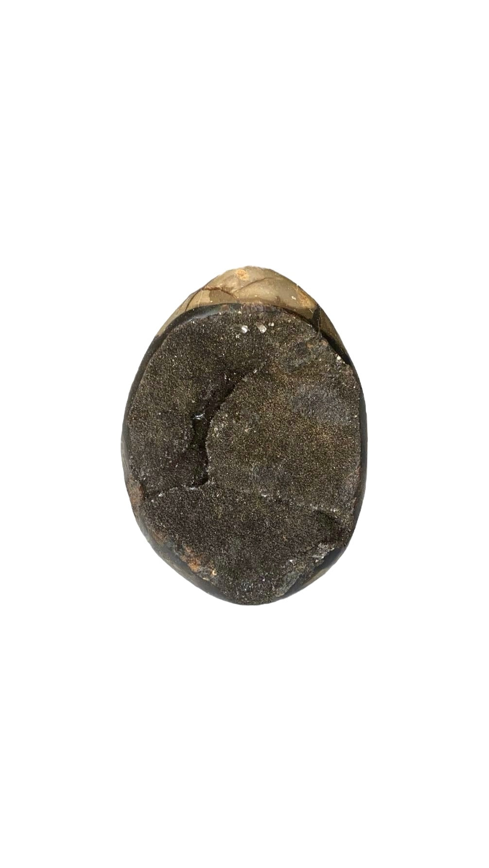 OEUF SEPTARIA 1,20 KG