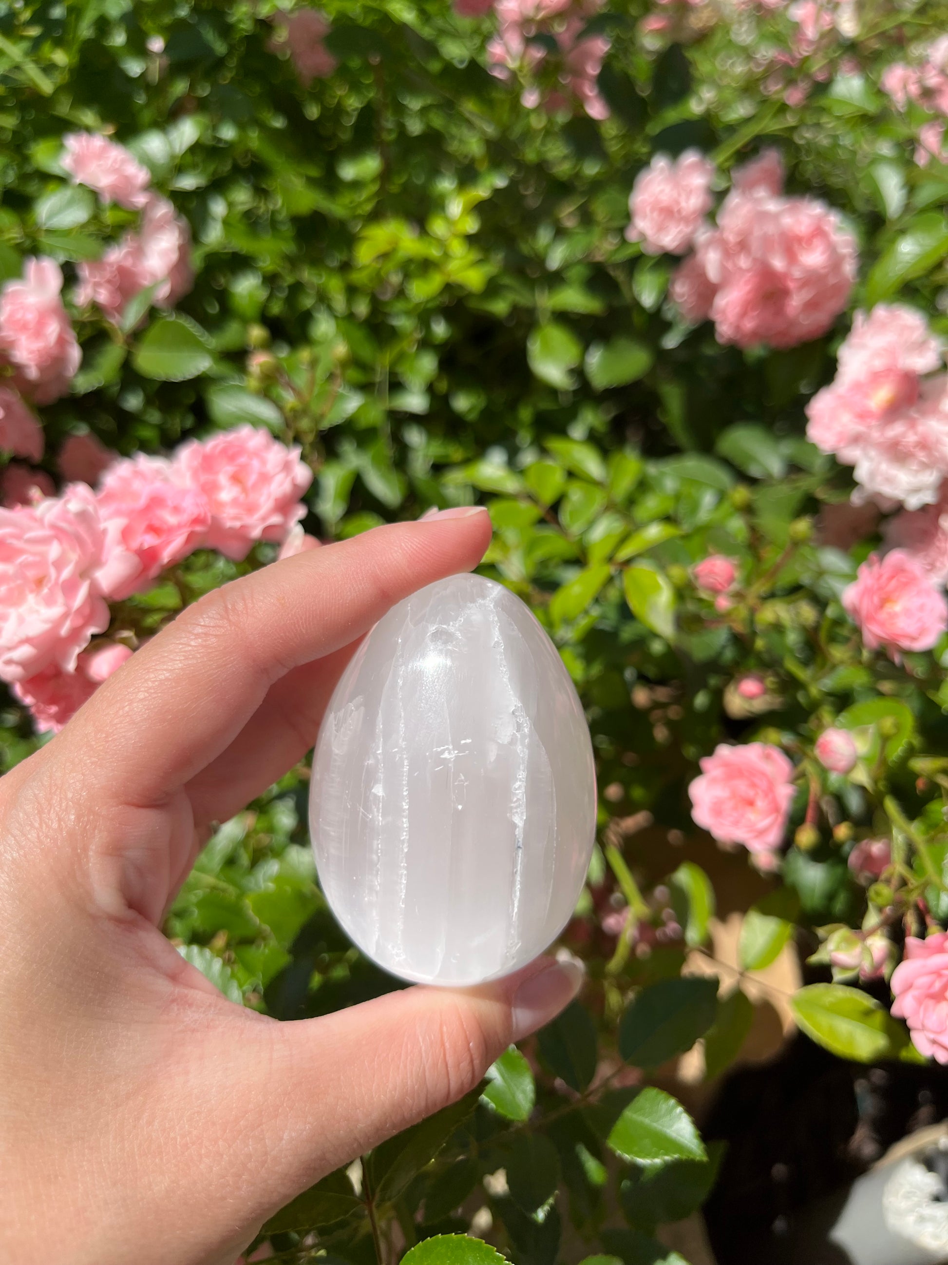 OEUF SÉLÉNITE BLANCHE