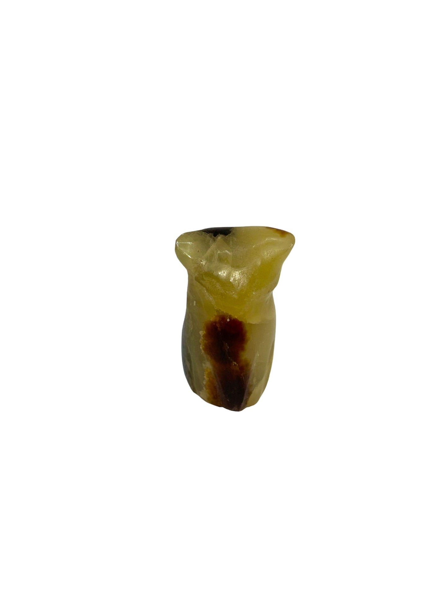 CHOUETTE SEPTARIA (au kilo)