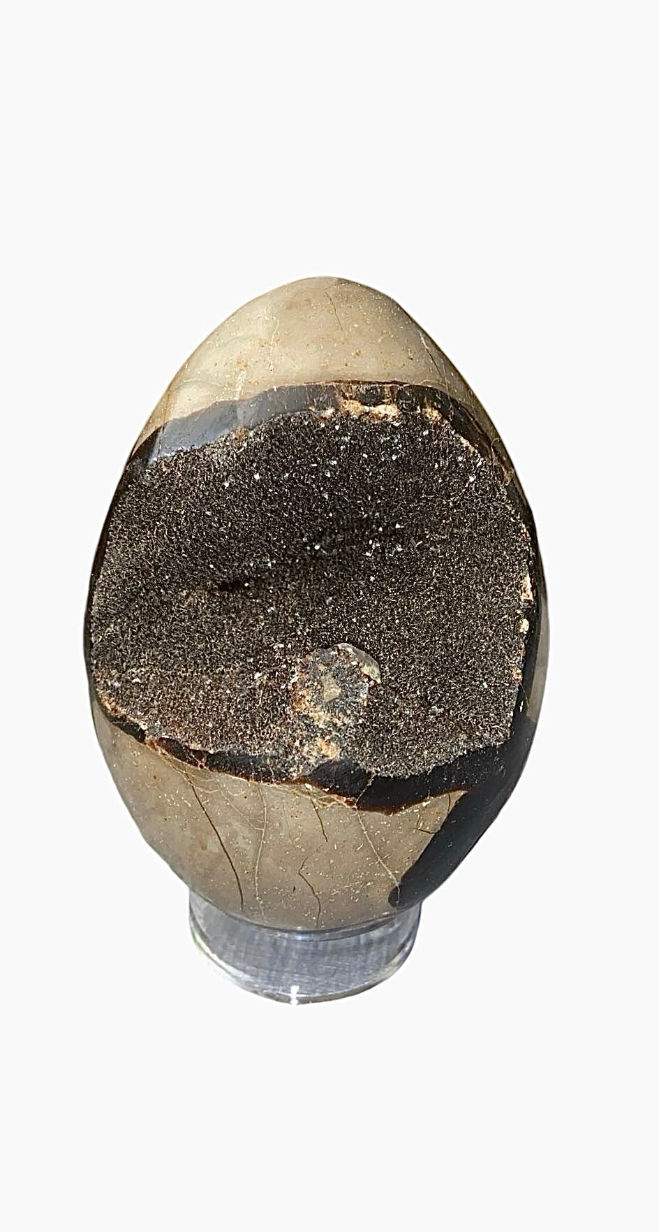 OEUF SEPTARIA 0,80 KG