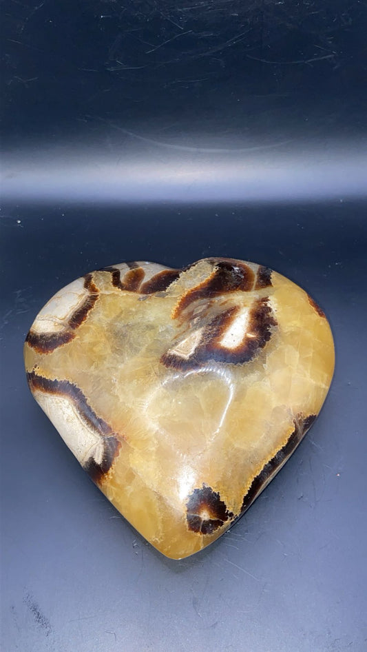 COEUR EN SEPTARIA