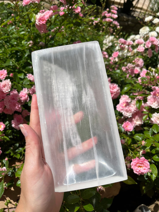 PLATEAU SÉLÉNITE